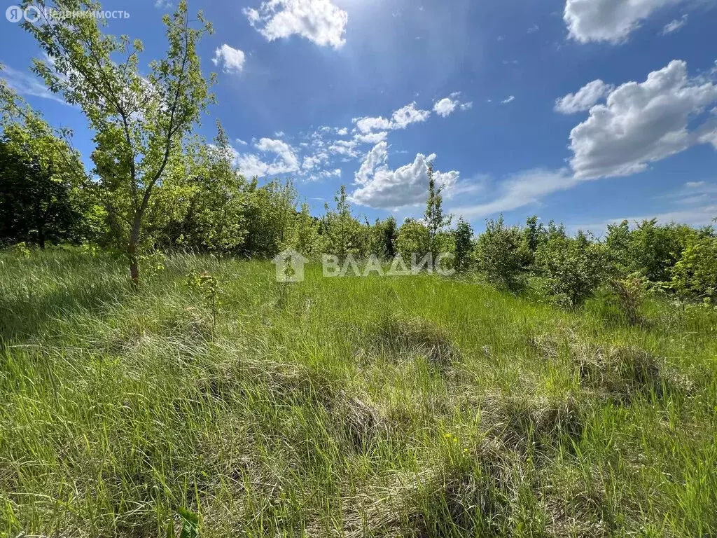 Участок в село Засечное, Подгорная улица (15 м) - Фото 1