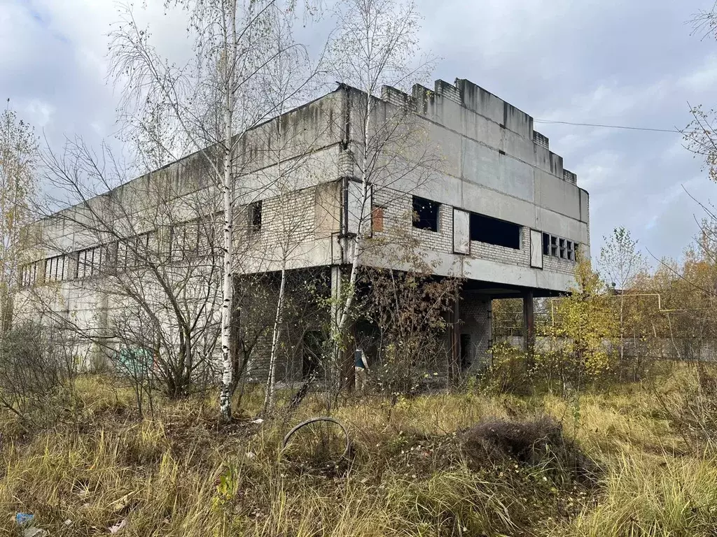 Производственное помещение в Владимирская область, Александров ул. ... - Фото 0