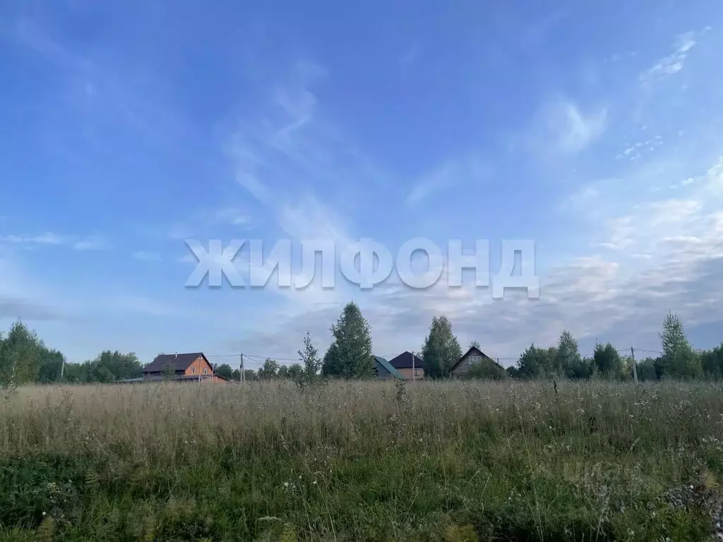 Участок в Новосибирская область, Искитимский район, Морозовский ... - Фото 1