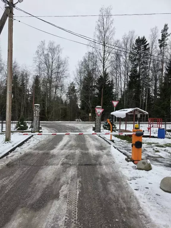 Участок в Ленинградская область, Кингисеппский район, Нежновское ... - Фото 1