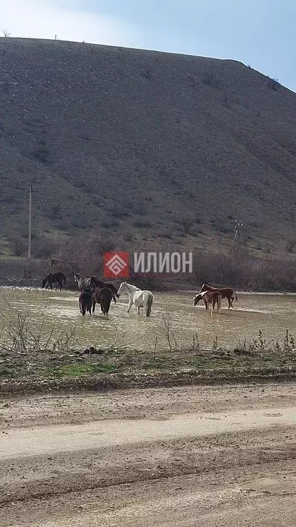 Участок в Крым, Судак муниципальный округ, с. Солнечная Долина ул. ... - Фото 2