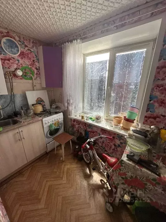 1-к кв. Брянская область, Брянск Красноармейская ул., 126 (23.3 м) - Фото 1