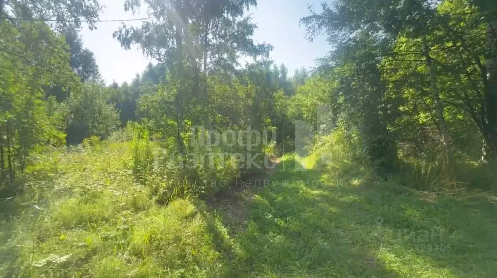 Участок в Нижегородская область, Чкаловск городской округ, д. ... - Фото 1
