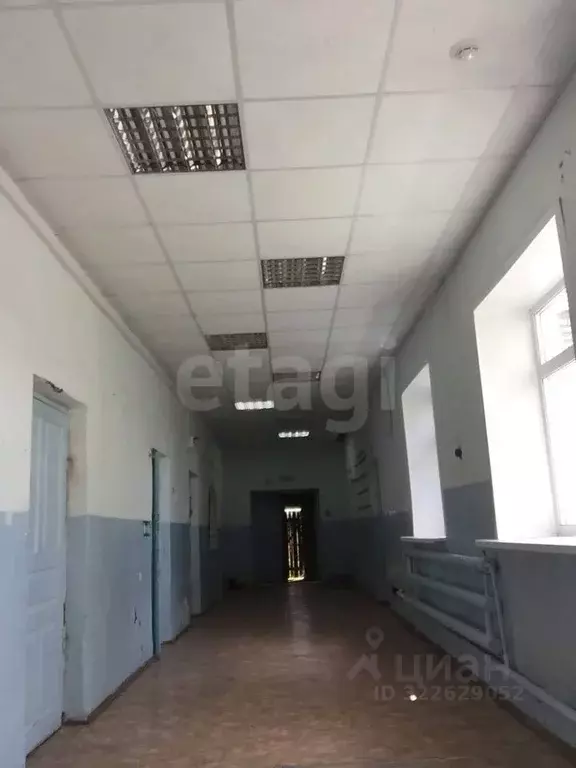 Помещение свободного назначения в Курганская область, с. Альменево ул. ... - Фото 1