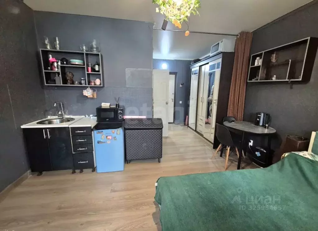 Студия Челябинская область, Сосновский муниципальный округ, Поселок ... - Фото 2