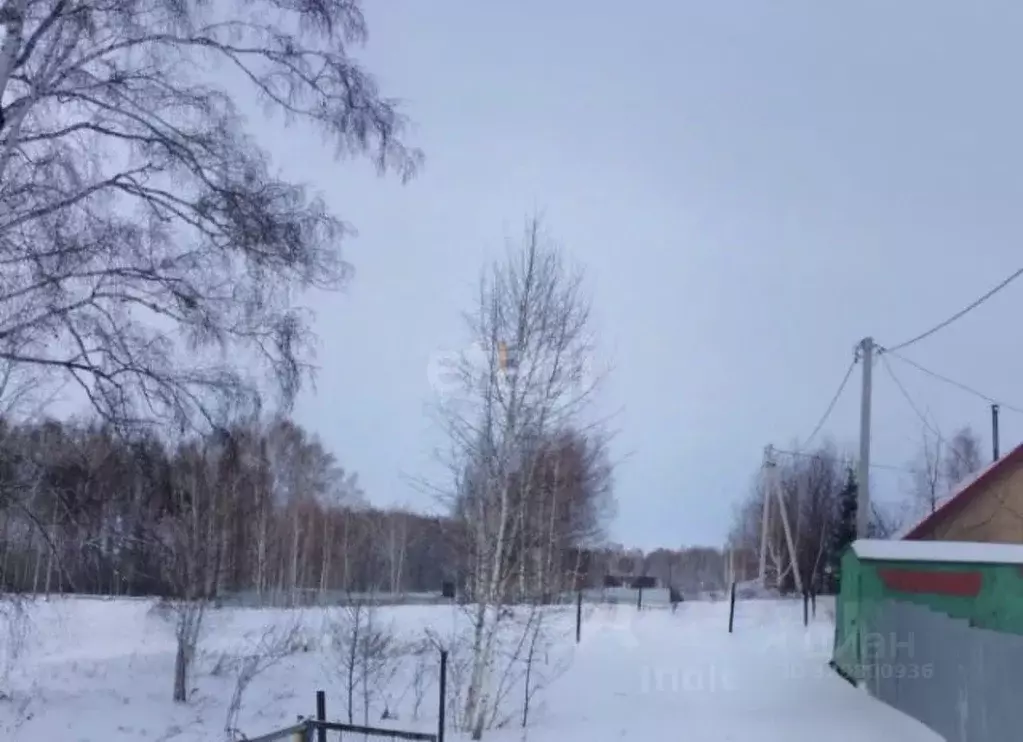 Участок в Новосибирская область, Колыванский район, Металлург СНТ ул. ... - Фото 1