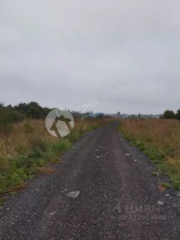 Участок в Пермский край, Пермский муниципальный округ, д. Заречная ... - Фото 2