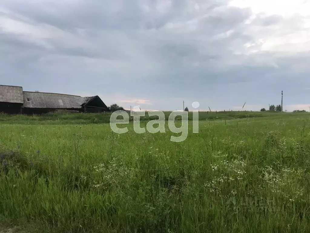 Участок в Свердловская область, Режевской муниципальный округ, с. ... - Фото 0