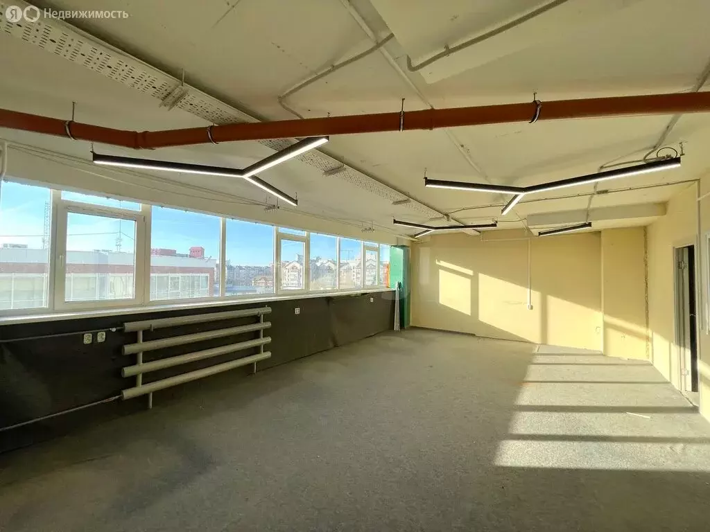 Офис (43.6 м) - Фото 1