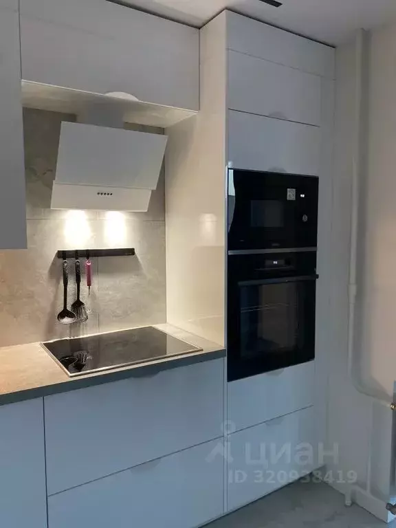 Студия Псковская область, Псков Юбилейная ул., 93 (38.0 м) - Фото 2