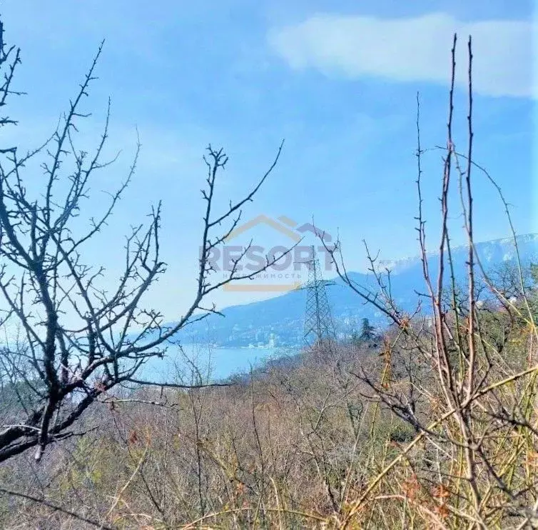 Участок в Крым, Ялта городской округ, Массандра пгт ш. ... - Фото 0