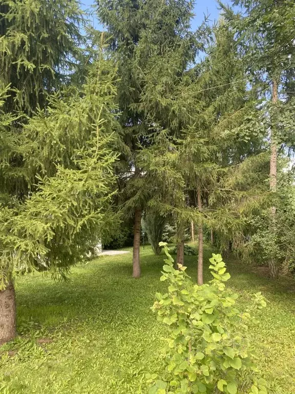 Дом в Пензенская область, Мокшан рп ул. Строителей, 21 (254 м) - Фото 2