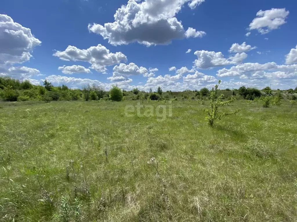 Участок в Воронежская область, Семилукский район, с. Девица пер. Тихий ... - Фото 1