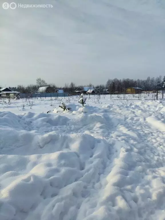 Участок в Карабаново, Почтовая улица, 23 (14 м) - Фото 1