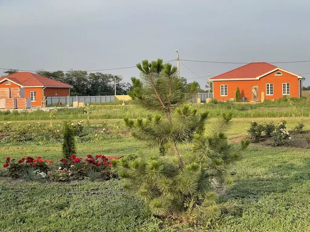 Участок в Ростовская область, Азовский район, Новоалександровка хут. ... - Фото 1