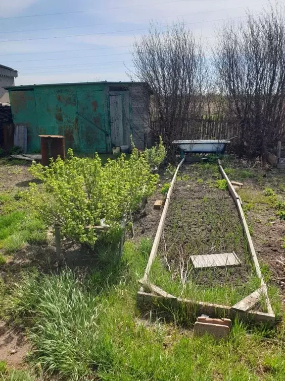 Дом в Омская область, Омский район, Дружинское с/пос, Северянка СНТ ... - Фото 0