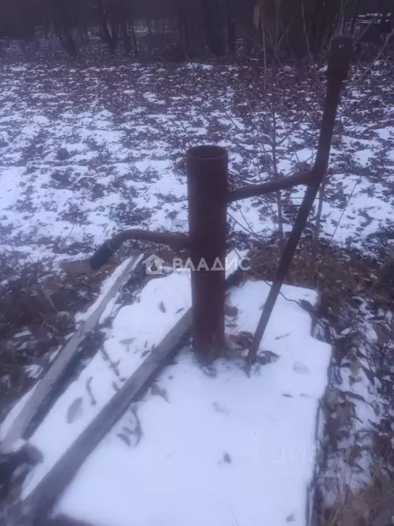 Участок в Пензенская область, Пенза Север садовое дачное товарищество, ... - Фото 1