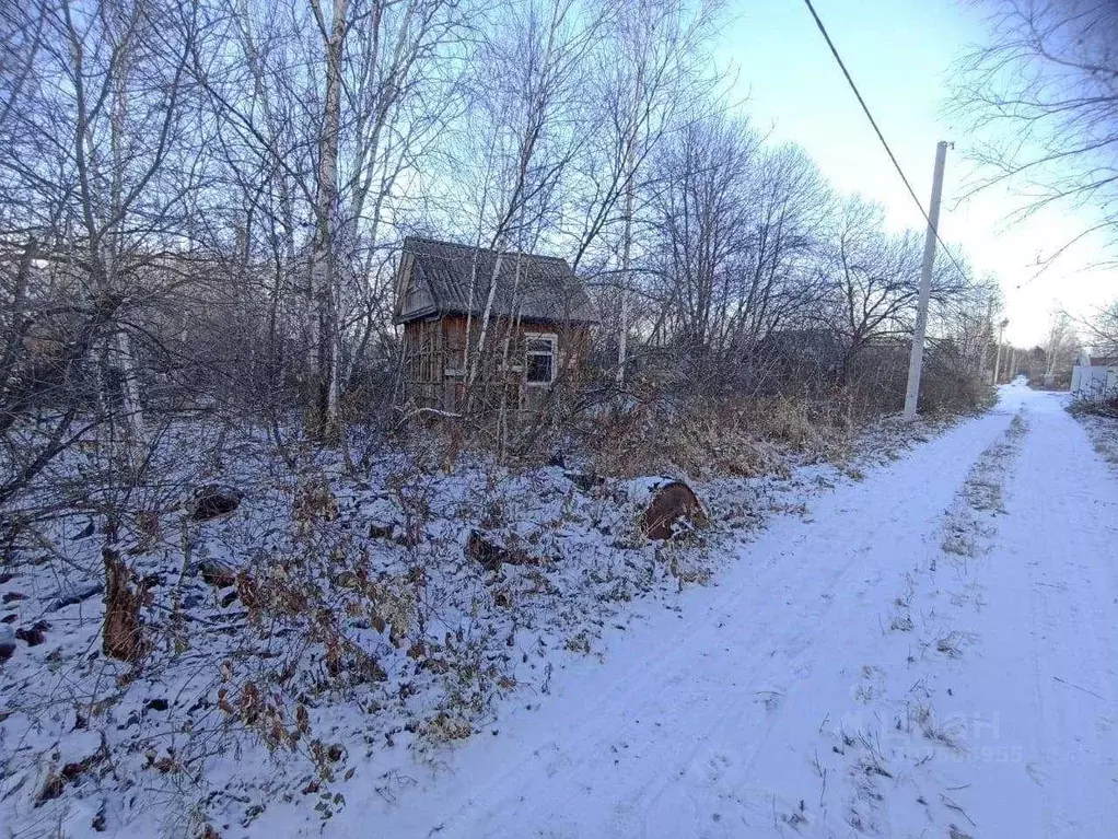 Участок в Хабаровский край, Хабаровский район, с. Черная Речка, ... - Фото 2