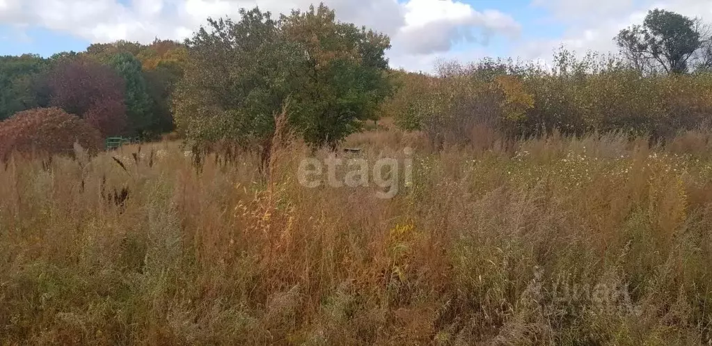 Участок в Амурская область, Благовещенск  (7.7 сот.) - Фото 1