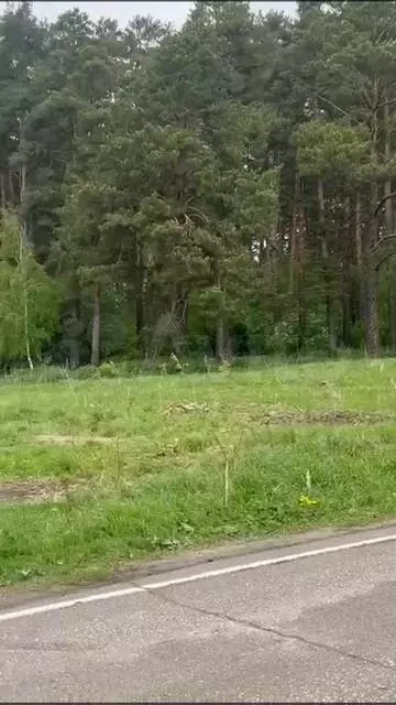 Участок 16 сот. (ИЖС) - Фото 1