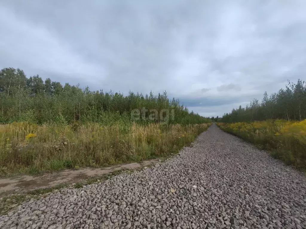 Участок в Липецкая область, Липецк ул. Воскресенская (10.0 сот.) - Фото 2