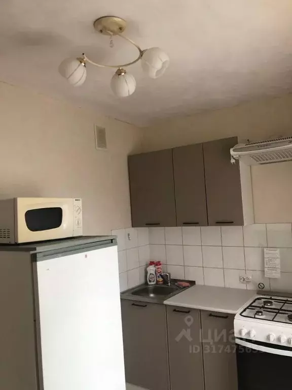 1-к кв. Коми, Сыктывкар ул. Ленина, 17 (34.0 м) - Фото 1