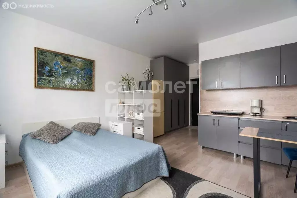 Квартира-студия: посёлок Романовка, Гаражный проезд, 14к1 (24 м) - Фото 1