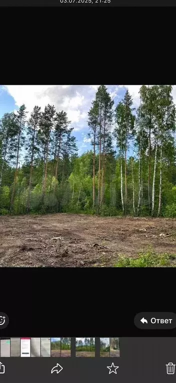Участок 16 сот. (ИЖС) - Фото 1