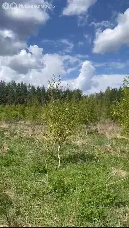 Участок в село Пышлицы, Зелёная улица (1.6 м) - Фото 0