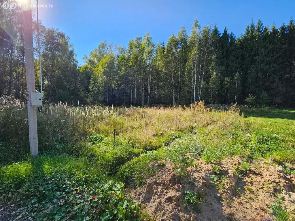 участок в московская область, городской округ чехов, деревня зыкеево . - Фото 1