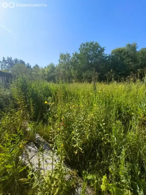 Участок в Ульяновск, улица МТС-4 (6 м) - Фото 2