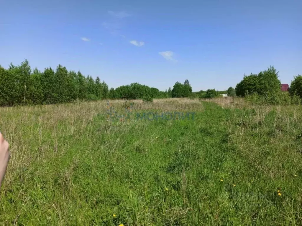 Участок в Нижегородская область, Богородский муниципальный округ, с. ... - Фото 1
