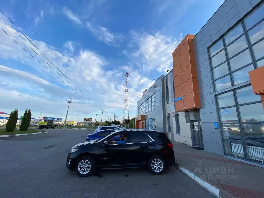Торговая площадь в Белгородская область, Белгородский район, ... - Фото 1