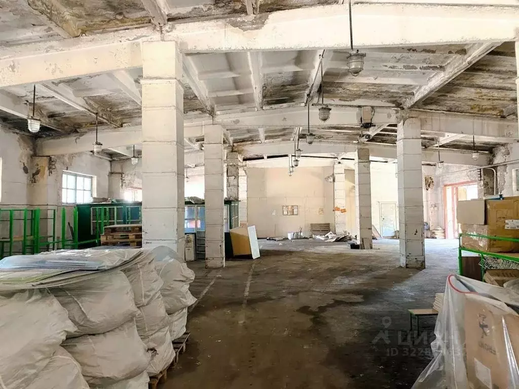 Помещение свободного назначения в Алтайский край, Рубцовск Сельмашская ... - Фото 1