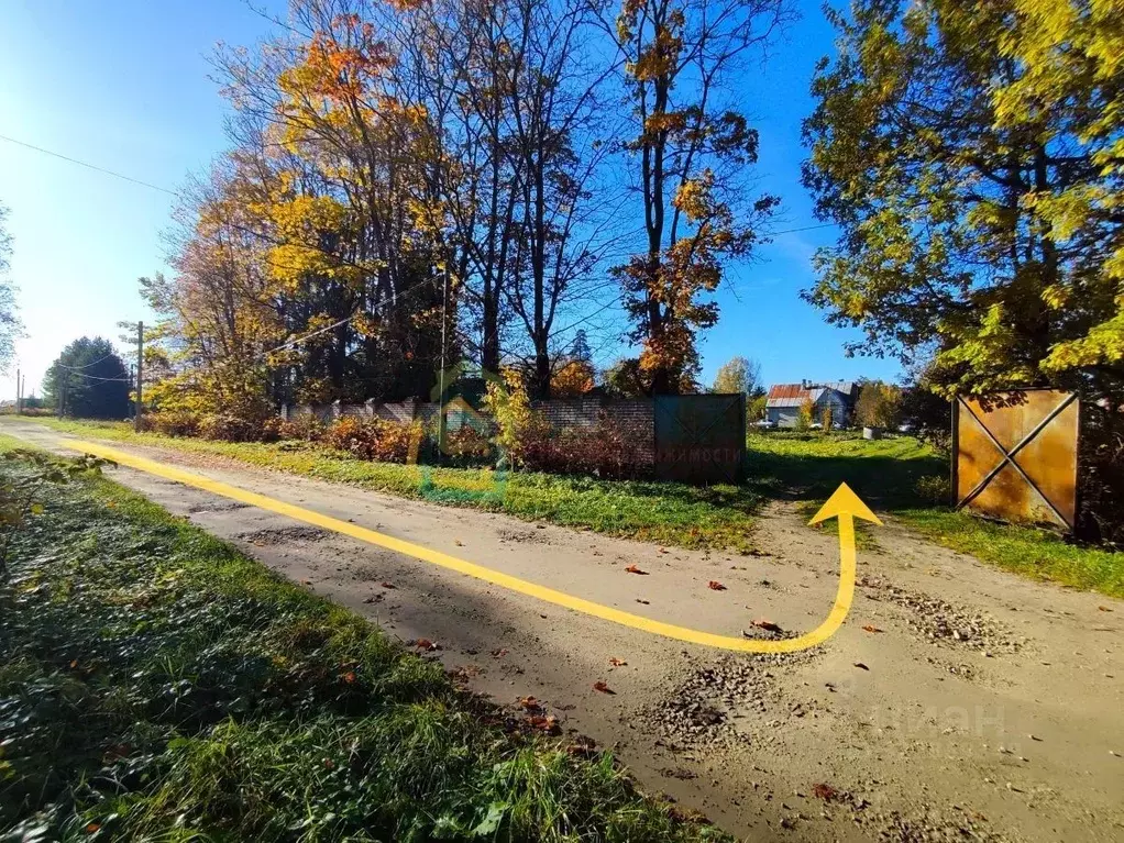 Участок в Ленинградская область, Гатчинский муниципальный округ, пос. ... - Фото 2