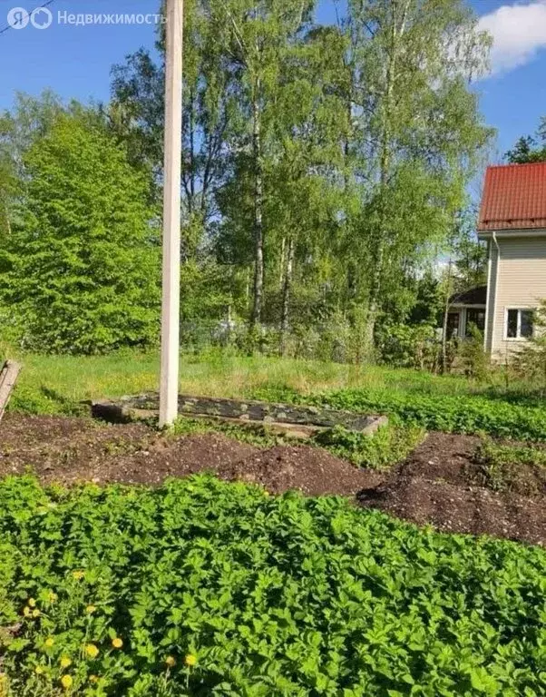 Участок в посёлок Парголово, Хабаровская улица (20 м) - Фото 2