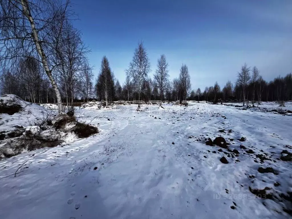 Участок в Тюменская область, Тюмень Яровское садовое товарищество, ул. ... - Фото 1