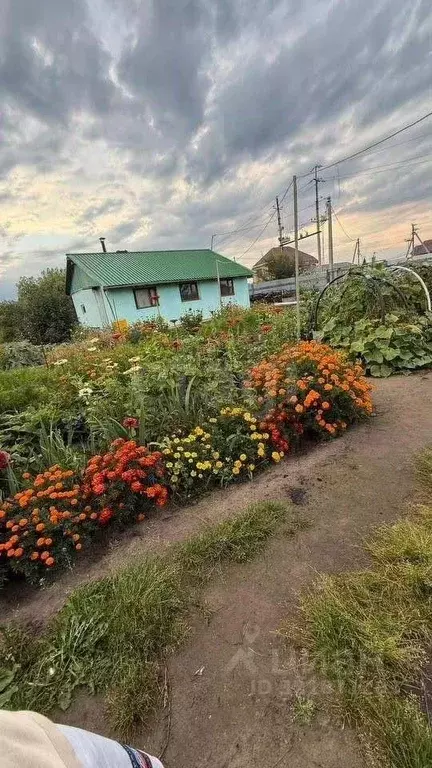 Участок в Тюменская область, Тюменский муниципальный округ, Винзили рп ... - Фото 2