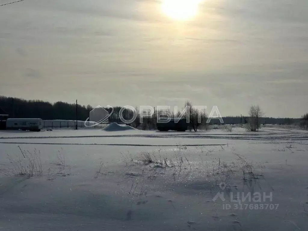 Участок в Тюменская область, Нижнетавдинский район, с. Бухтал  (1171.3 ... - Фото 1