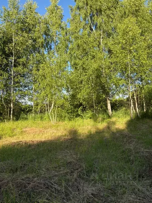 Участок в Московская область, Клин городской округ, д. Поповка  (23.0 ... - Фото 1