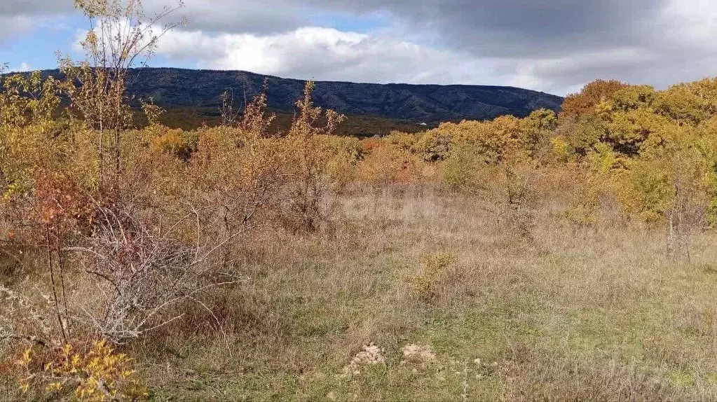 Участок в Крым, Кировский район, Старый Крым городское поселение ул. ... - Фото 1