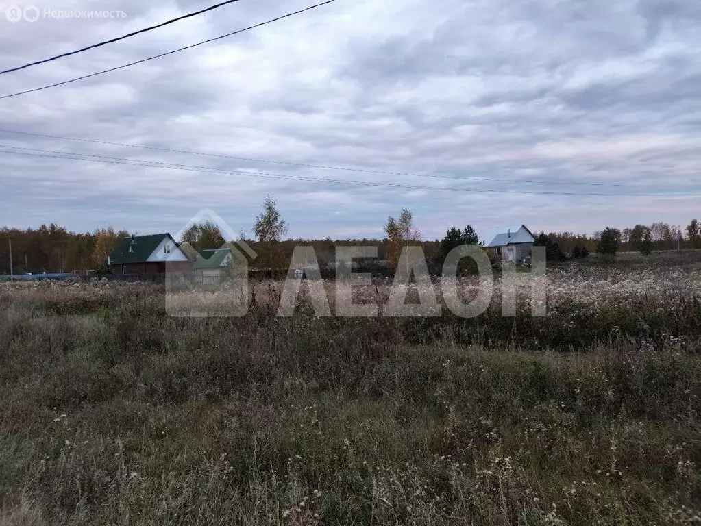 Участок в муниципальный округ Омский район, деревня Большекулачье, ... - Фото 2