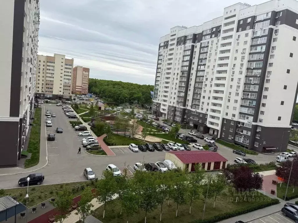 2-к кв. Пензенская область, Пенза ул. Мира, 44А (54.1 м) - Фото 1