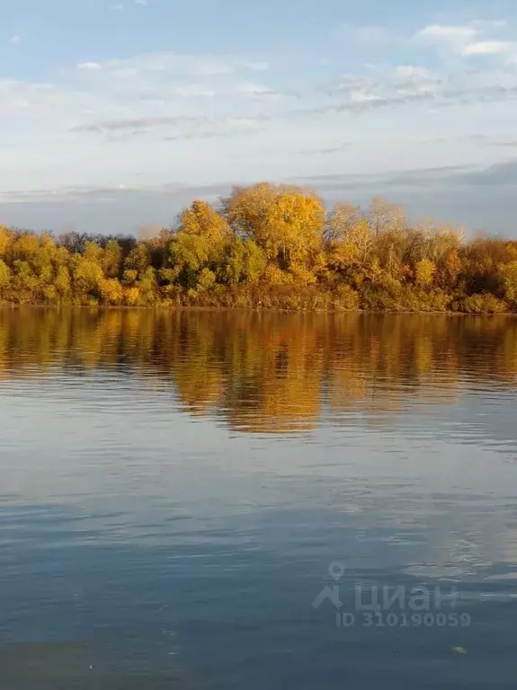 Участок в Ростовская область, Багаевское с/пос, Орион СНП  (8.0 сот.) - Фото 0