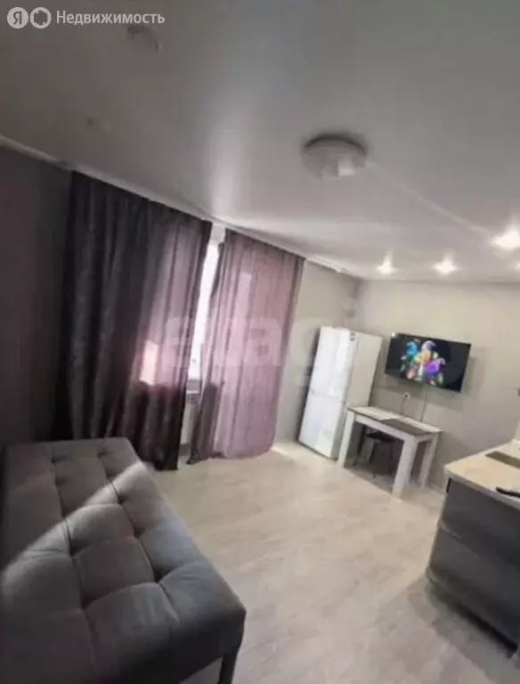 Квартира-студия: Благовещенск, улица Василенко, 3/4 (24.2 м) - Фото 2