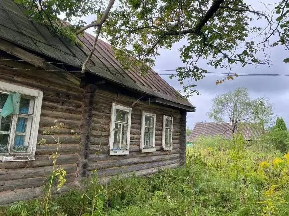 Участок в Новгородская область, Маловишерский район, Большевишерское ... - Фото 2