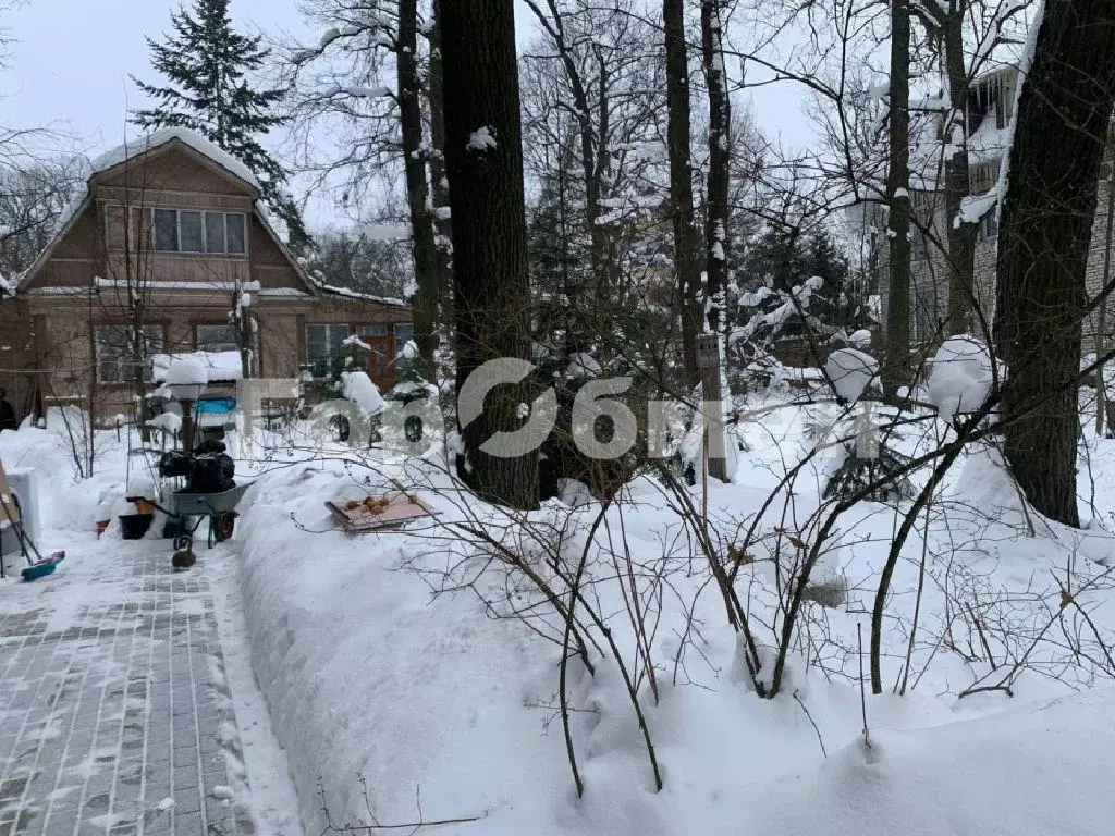 Продается участок в с. Дубки - Фото 1