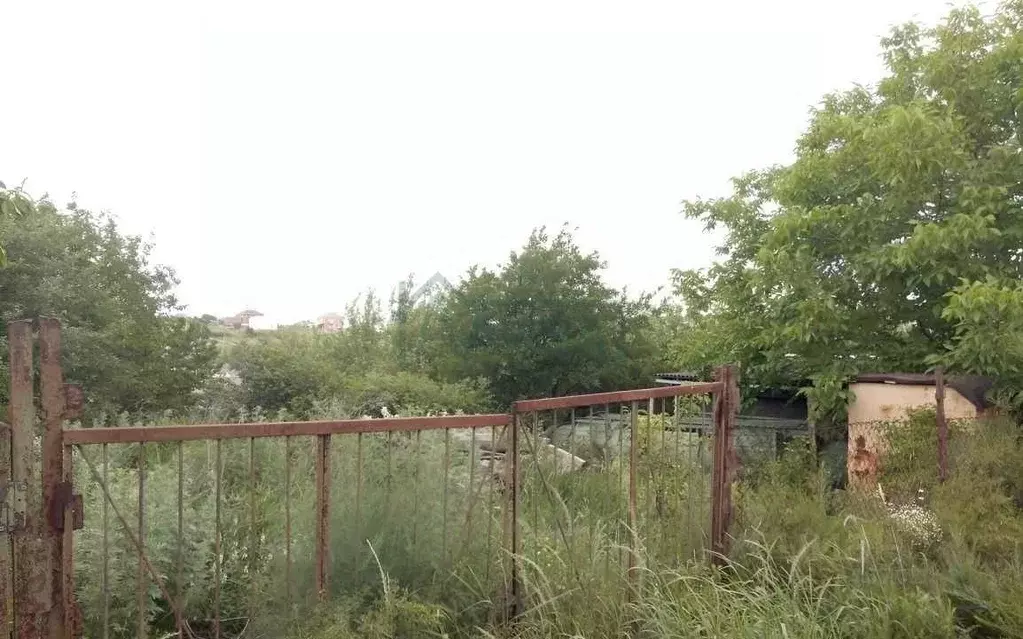 Участок в Ростовская область, Ростов-на-Дону Исток ДНТ, ул. Любимая ... - Фото 1