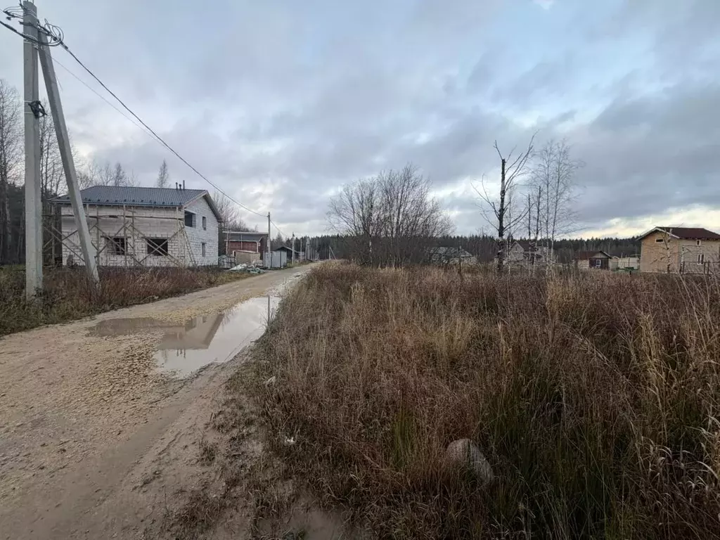 Участок в Ленинградская область, Всеволожский район, Романовское с/пос ... - Фото 2