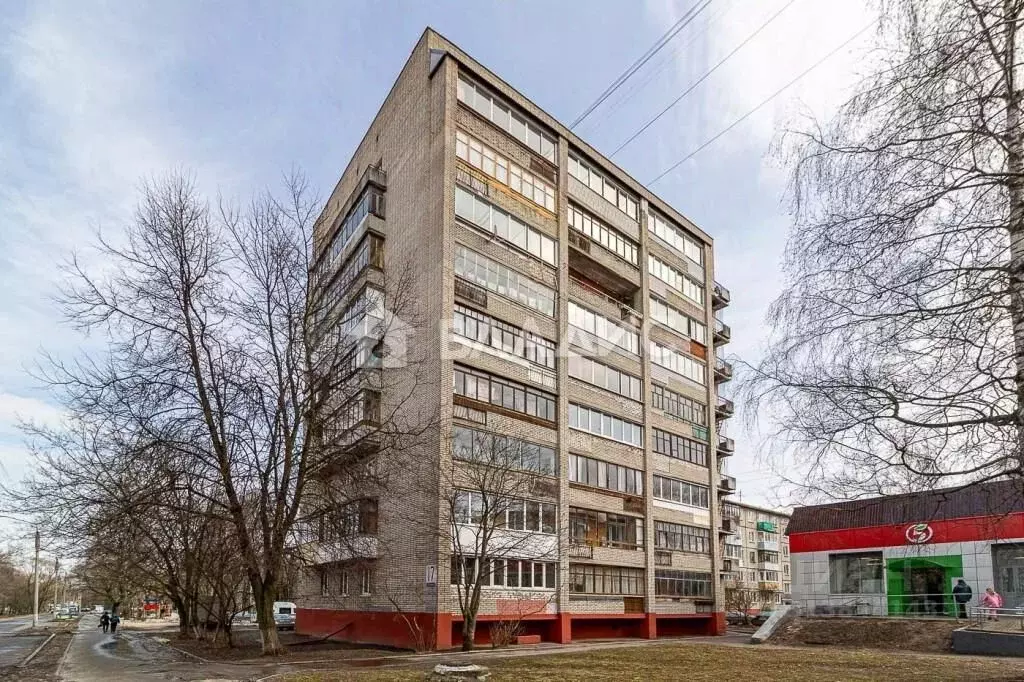 1-к кв. Владимирская область, Владимир ул. Растопчина, 17 (28.0 м) - Фото 0